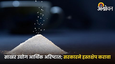 Sugar