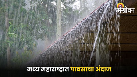 Maharashtra Rain