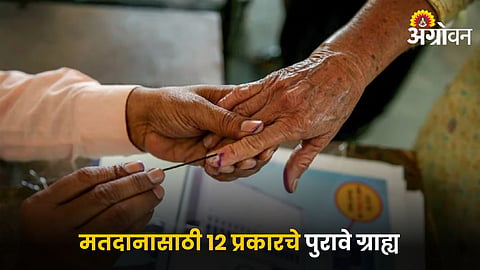 Maharashtra Assembly Election 2024