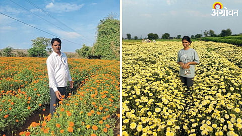 Agriculture Success Story