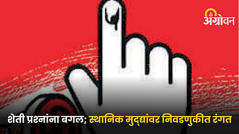 Maharashtra Assembly Election