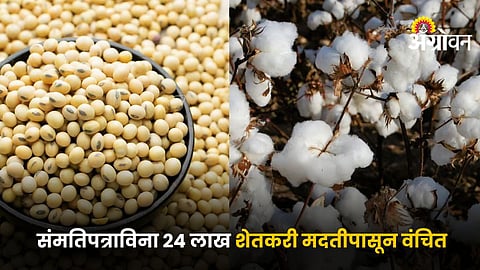 Agriculture Update