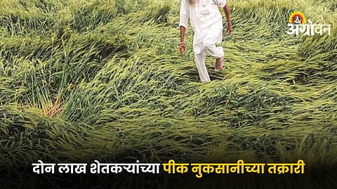 Crop Damage