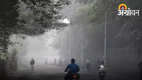 Maharashtra Weather 