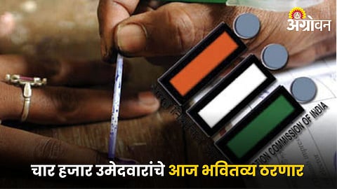 Maharashtra Assembly Election 2024