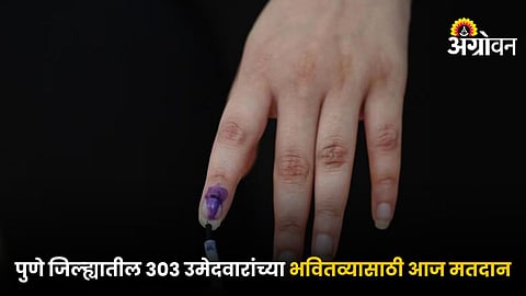 Vidhansabha Voting