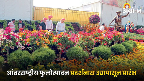  Flower Exhibition