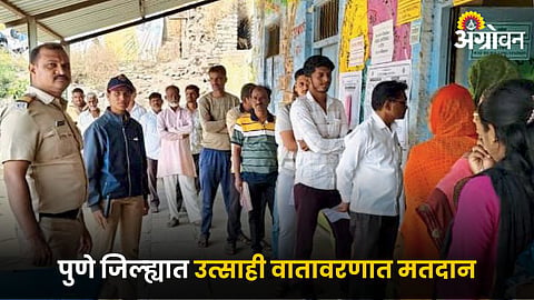 Maharashtra Assembly Election 