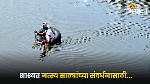 World Fisheries Day 