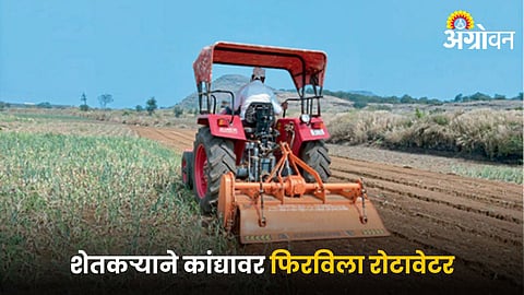 Onion Crop Damage