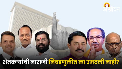 Maharashtra Election Result