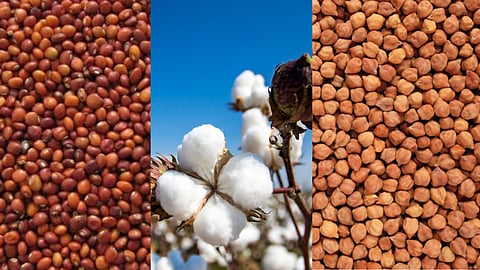 Agriculture Commodity Market