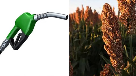 Sweet Sorghum Ethanol 