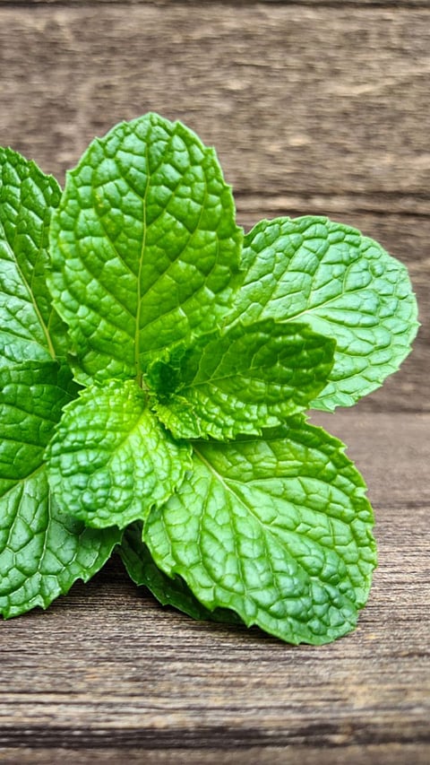 Health Benefits Of Mint Leaves