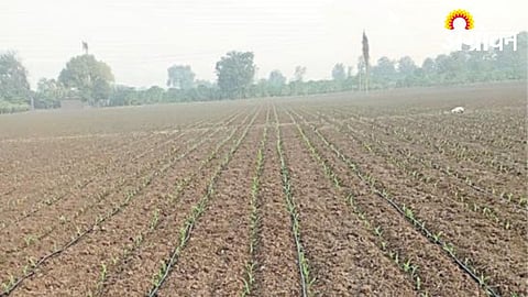 Agriculture Irrigation