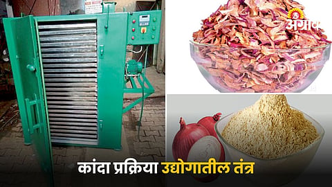 Onion Processing 