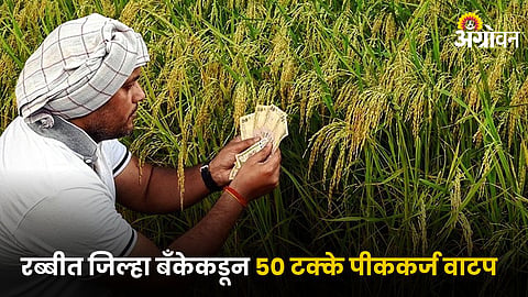 Rabi Crop Loan 