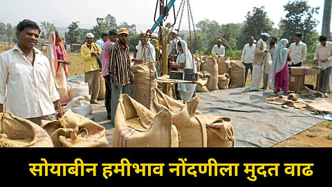 Soybean Procurement 