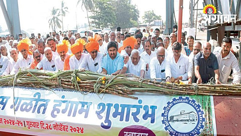 Sugarcane Season 