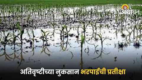 Crop Damage