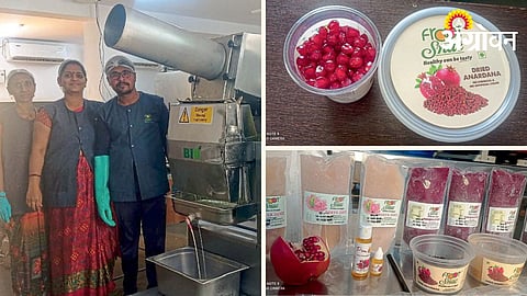 Pomegranate Processing 