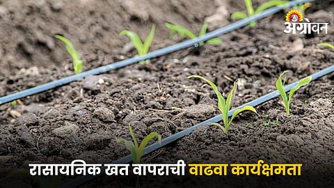Agriculture Fertilizers