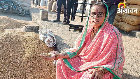 Soybean Rate