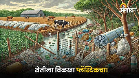Agriculture