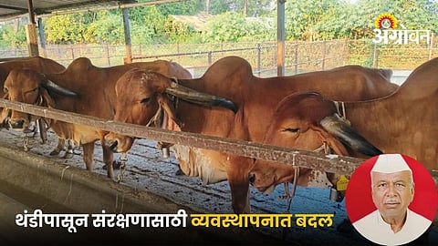 Animal Husbandry
