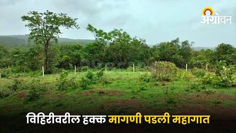 Agriculture Land