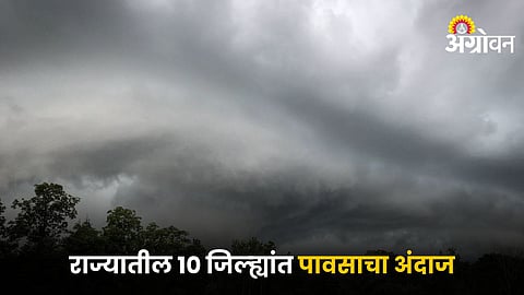 Weather