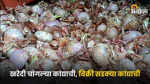 Onion