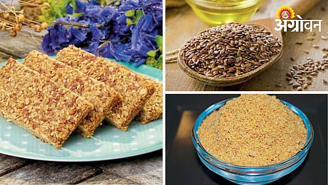 Linseed