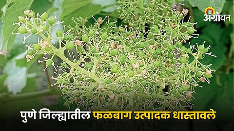 Agriculture