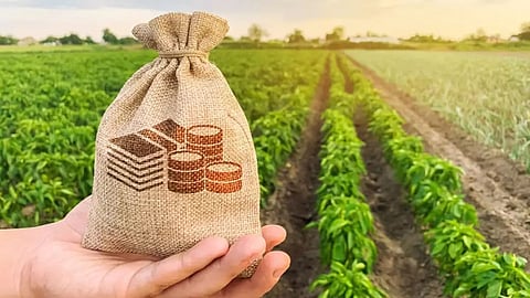 Farmers Loan Scheme
