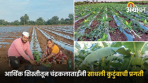 Indian Agriculture 
