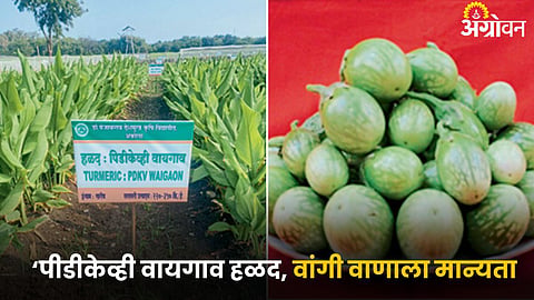 Crop Variety
