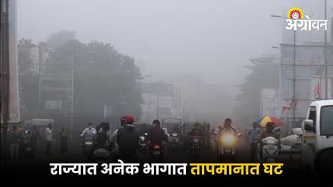 Weather 