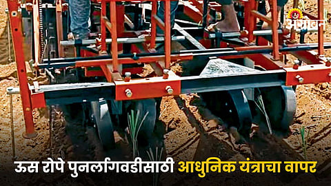Sugarcane Modern Machinery