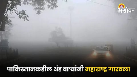 Maharashtra Winter 