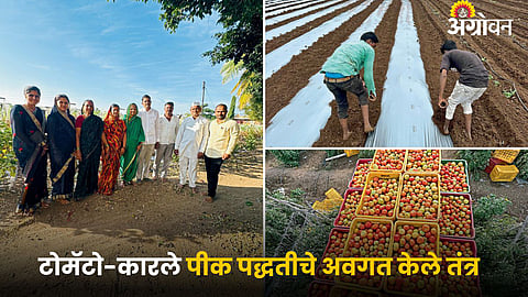 Agriculture