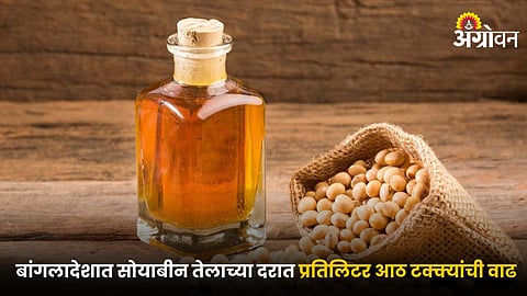 Soybean Oil