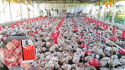 Poultry Farming