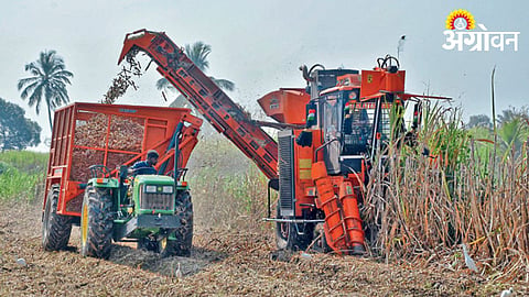 Sugarcane Harvesting 