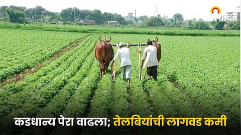 Rabi Sowing