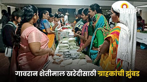 Agriculture Market