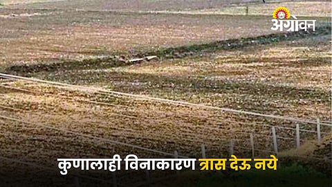 Agriculture Land