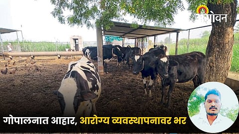 Animal Husbandry