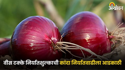 Onion