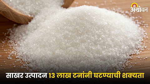 Sugar